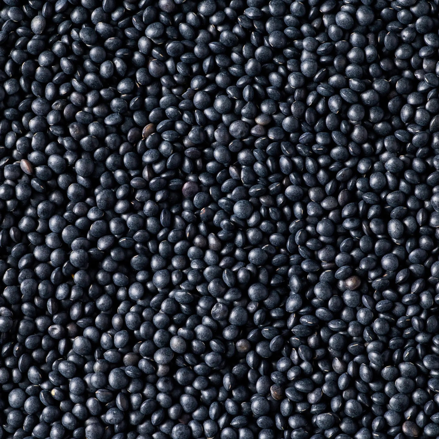 SIMPLI REGENERATIVE ORGANIC CERTIFIED® BLACK LENTILS