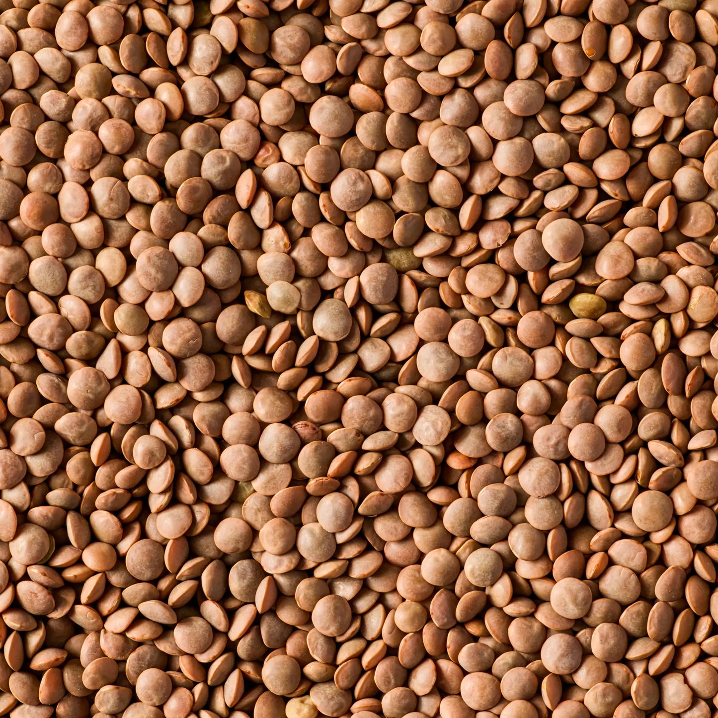 SIMPLI REGENERATIVE ORGANIC CERTIFIED® RED LENTILS