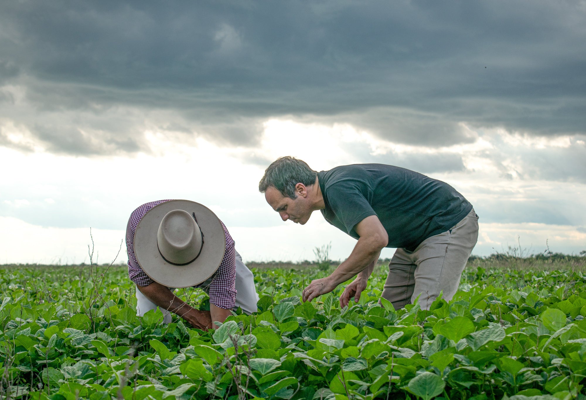 Substance is Served. Join the SIMPLi Affiliate Program.