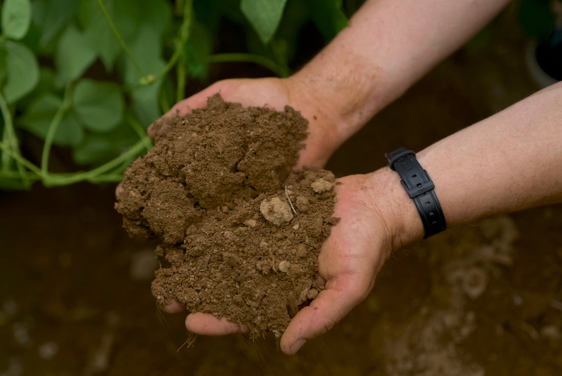 Inside Our Rigorous Clean Food Testing Process