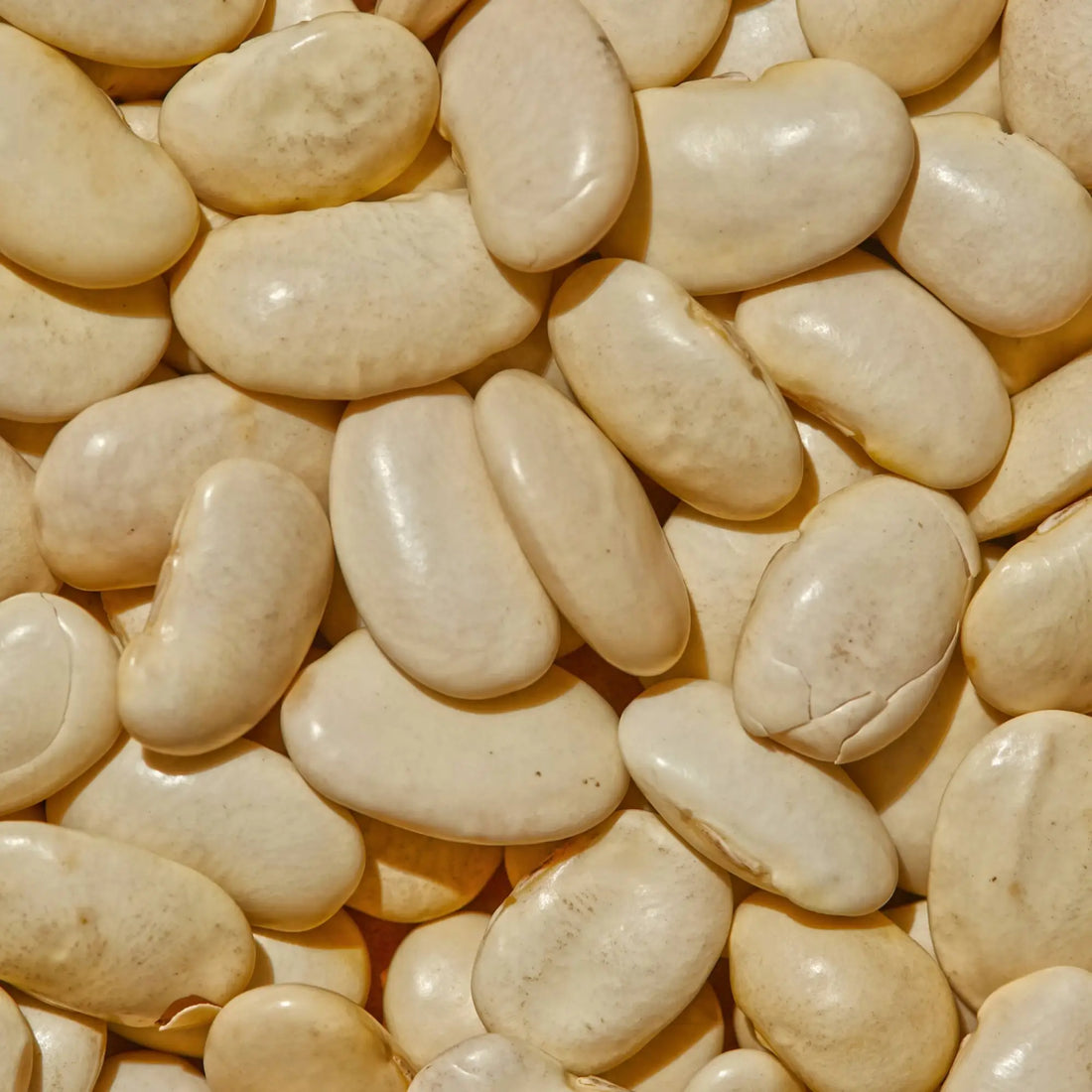 SIMPLi Featured in Martha Stewart: Why Butter Beans Are Making a Well-Deserved Comeback