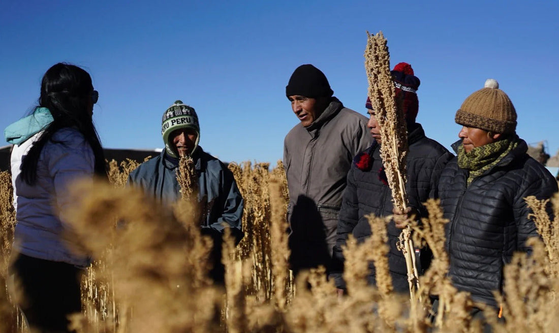 SIMPLi Featured in Martha Stewart: Why Quinoa Quality Starts Before It Hits Your Plate