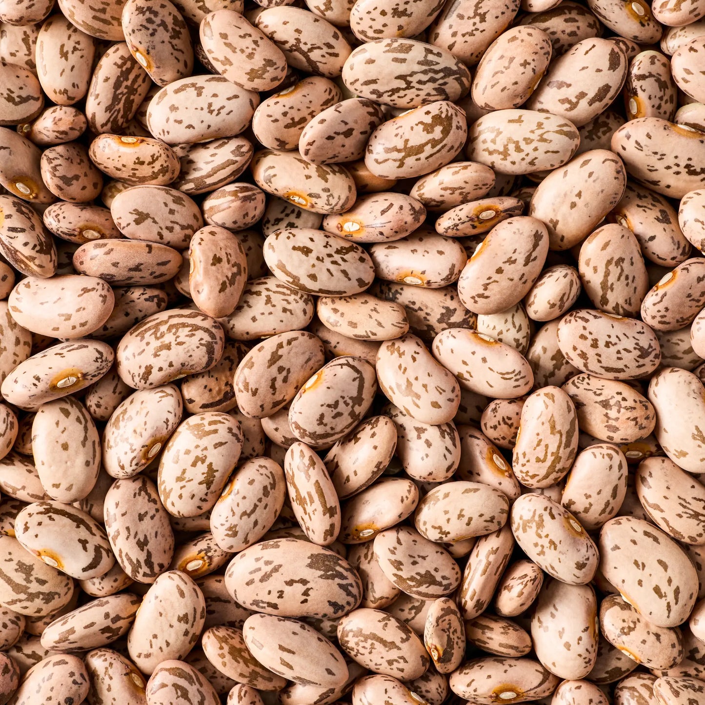 SIMPLI REGENERATIVE ORGANIC CERTIFIED® PINTO BEANS