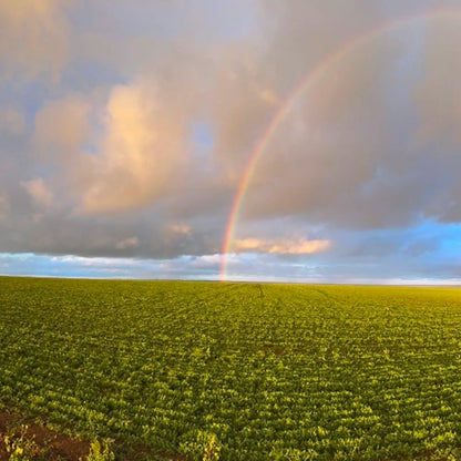 SIMPLi REGENERATIVE ORGANIC CERTIFIED® BLACK LENTILS