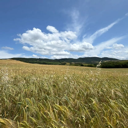 SIMPLi REGENERATIVE ORGANIC CERTIFIED® FARRO