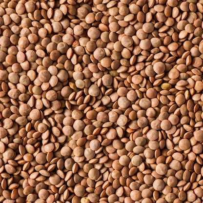 SIMPLI REGENERATIVE ORGANIC CERTIFIED® RED LENTILS