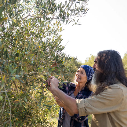 SIMPLi REGENERATIVE ORGANIC CERTIFIED® GREEK EXTRA VIRGIN OLIVE OIL
