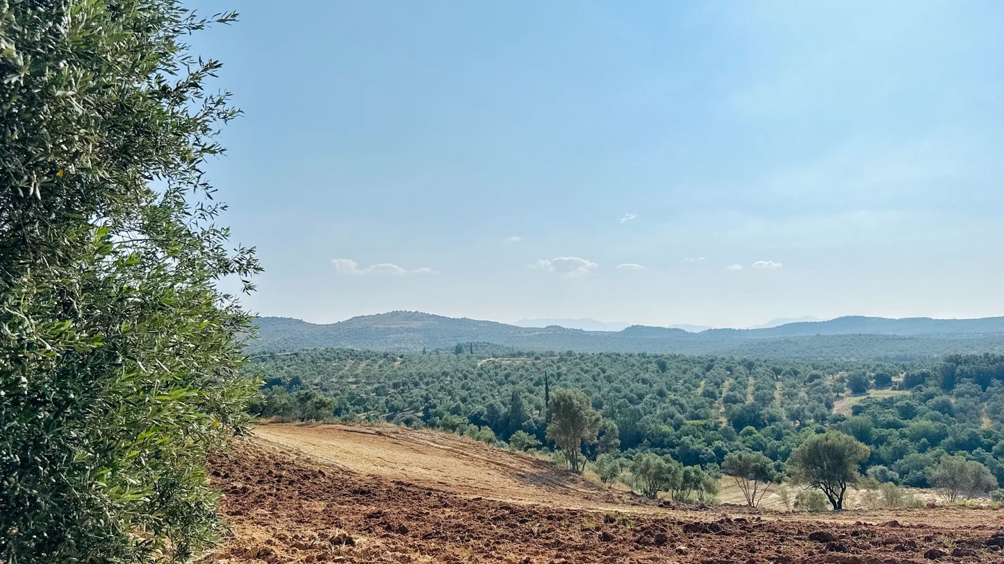 3-PACK SIMPLi REGENERATIVE ORGANIC CERTIFIED® GREEK EXTRA VIRGIN OLIVE OIL