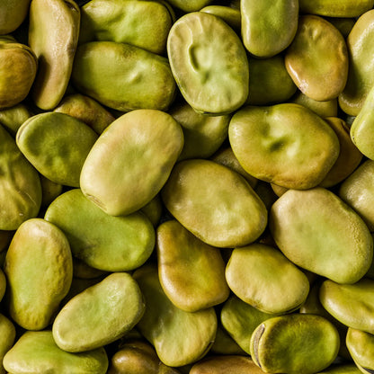 SIMPLI REGENERATIVE ORGANIC CERTIFIED® FAVA BEANS