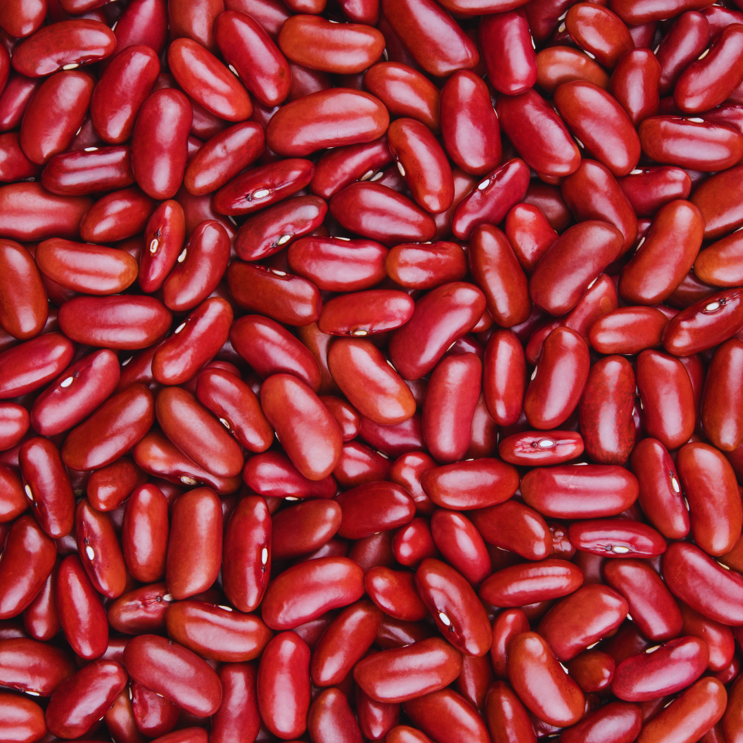 SIMPLi Regenerative Organic Certified® Red Kidney Beans