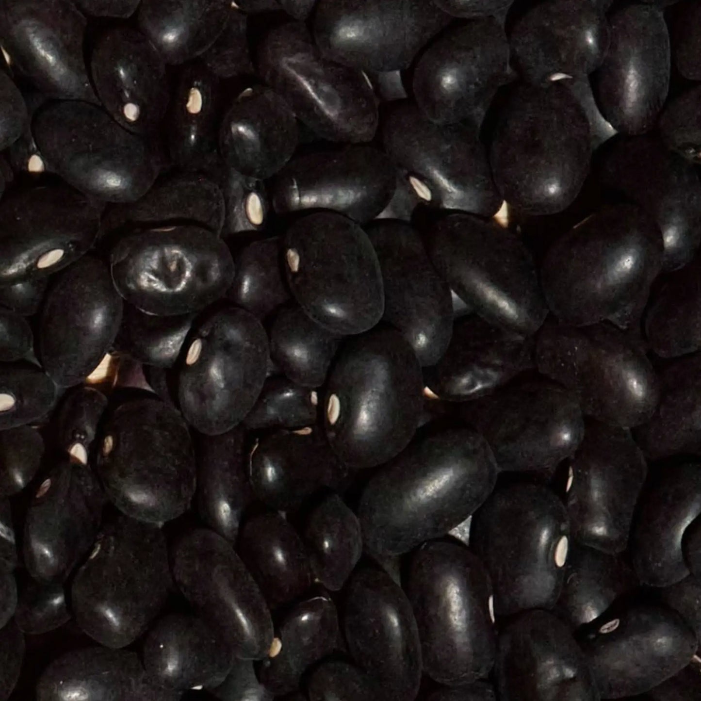 SIMPLi REGENERATIVE ORGANIC CERTIFIED® BLACK BEANS