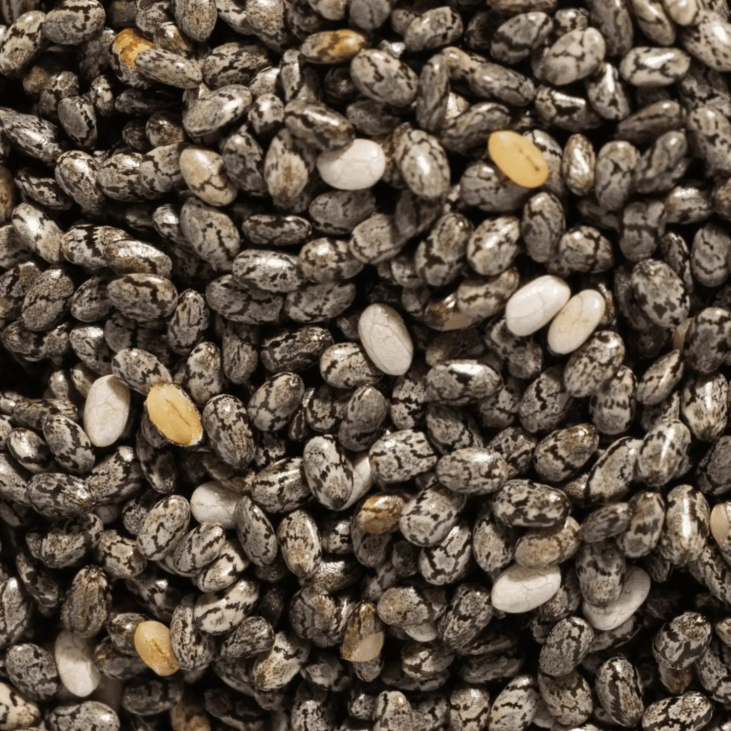 SIMPLi REGENERATIVE ORGANIC CERTIFIED® CHIA SEEDS