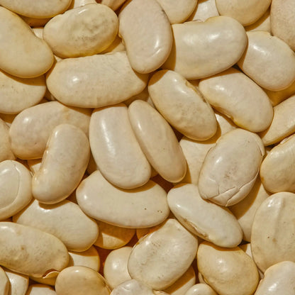 SIMPLi REGENERATIVE ORGANIC CERTIFIED® GIGANTE BEANS