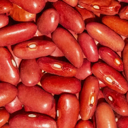 SIMPLi REGENERATIVE ORGANIC CERTIFIED® KIDNEY BEANS