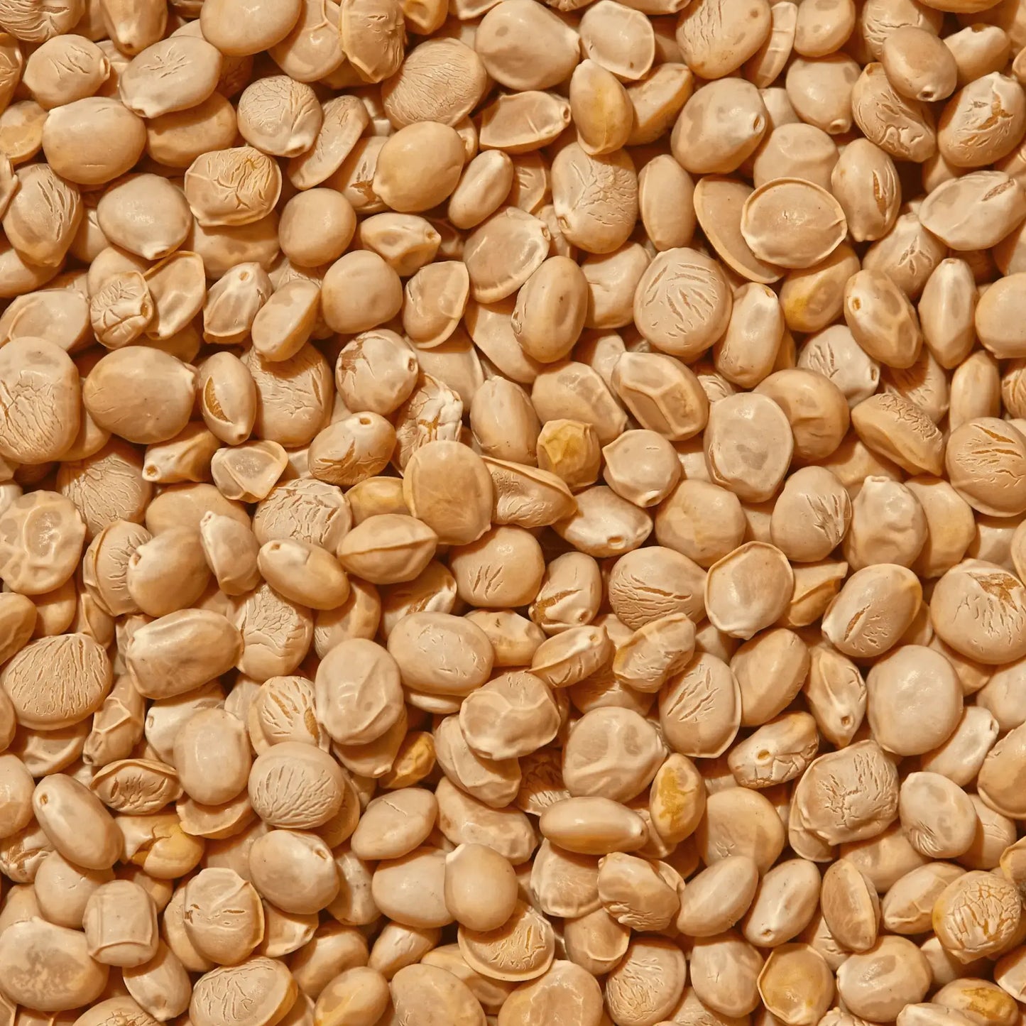 SIMPLi REGENERATIVE ORGANIC CERTIFIED® LUPINI BEANS