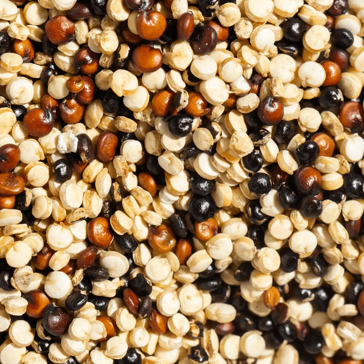 SIMPLi REGENERATIVE ORGANIC CERTIFIED® TRI-COLOR QUINOA