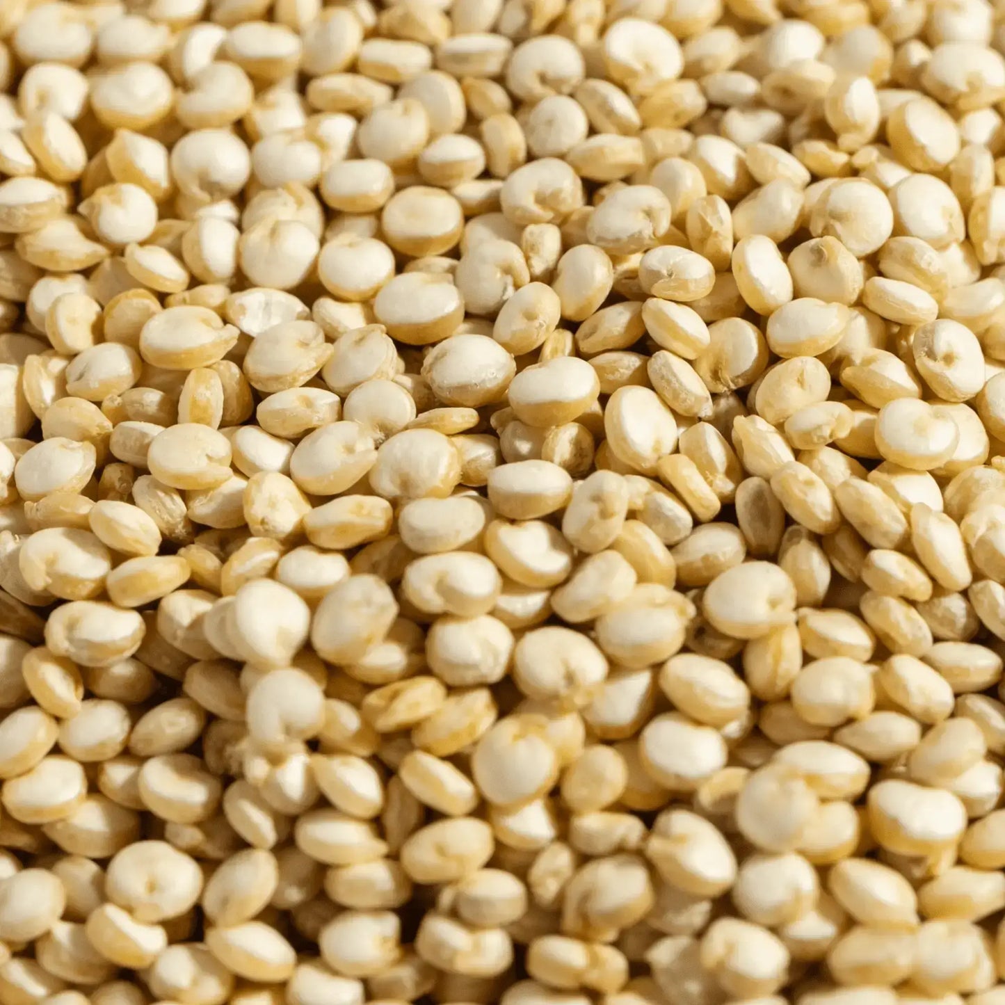 SIMPLi REGENERATIVE ORGANIC CERTIFIED® WHITE QUINOA